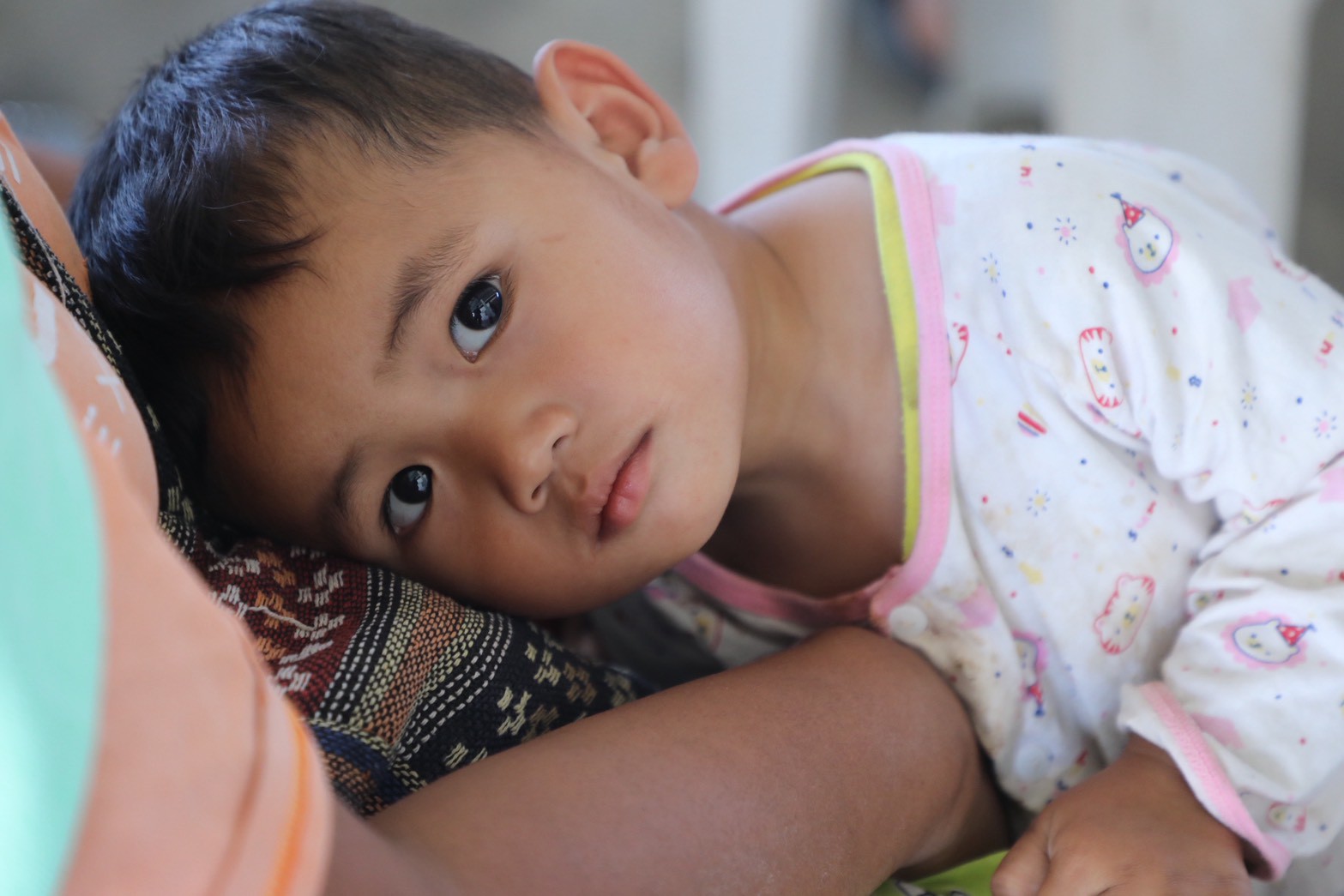 title - เลขาฯ ส.ป.ก. รุดให้กำลังใจพี่น้องเกษตรกรในเขตปฏิรูปที่ดินพื้นที่ชายแดนอุบลฯ ใกล้จุดสู้รบเพียง 7 กม.